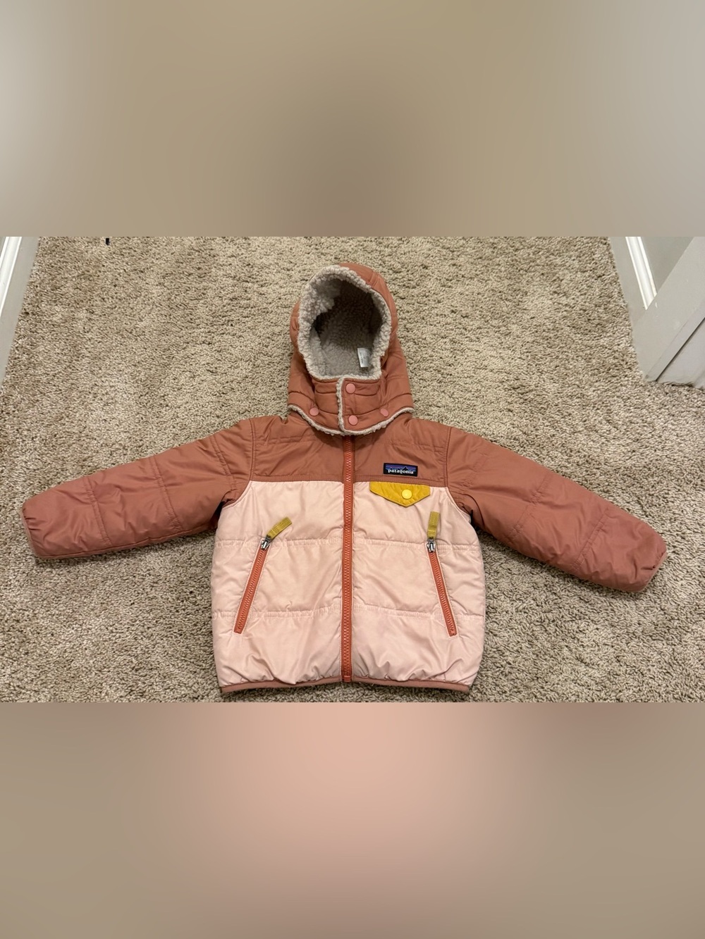 Patagonia Baby Reversible Tribbles Hoody in size 2T 🩷